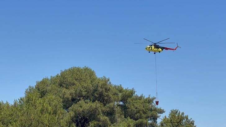 Antalya Aksu'da orman yangını (2)