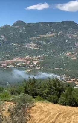 Adana'da orman yangını