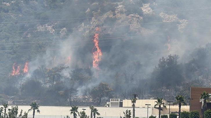 Bodrum’da maki yangını kontrol altına alındı