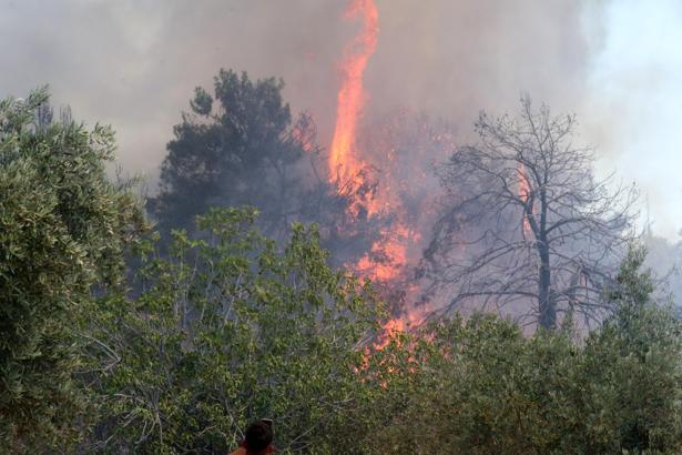 Antalya'da 9 günde 14 orman yangını