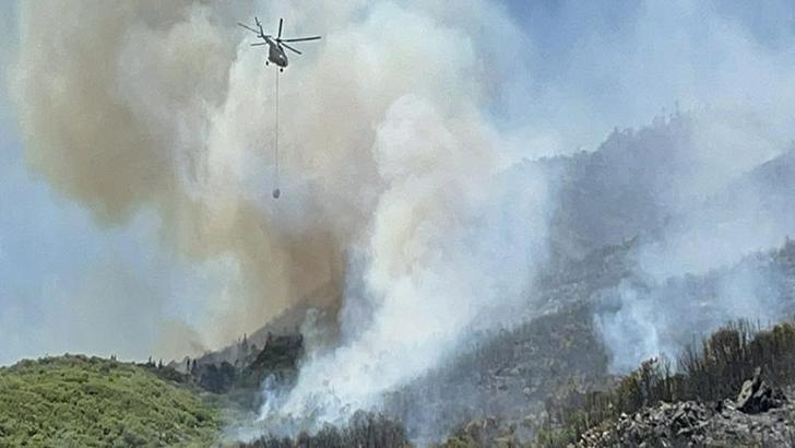 Aydın'da orman yangını