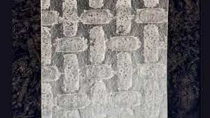 Bilim insanları pirinç yufkasından robot geliştirdi