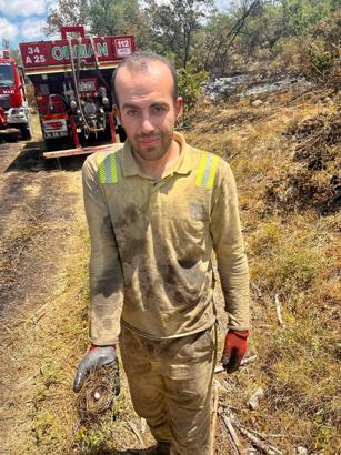 Sakarya'daki orman yangınında ekipler hayvanlar için seferber oldu (2)