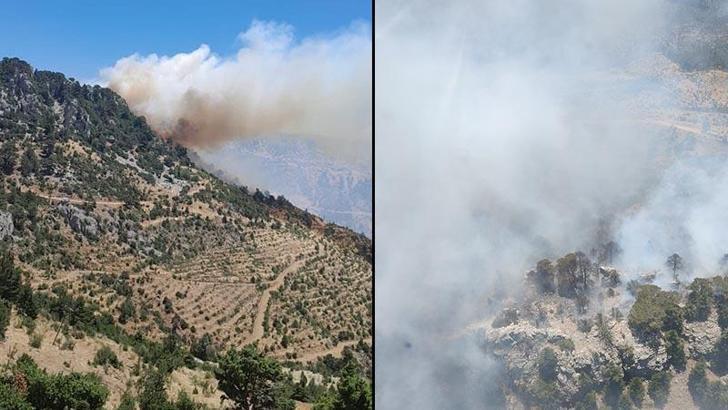Mersin'de orman yangını