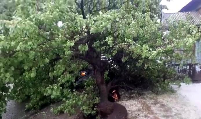 Kağızman'da dolu ve sağanak nedeniyle caddeler göle döndü