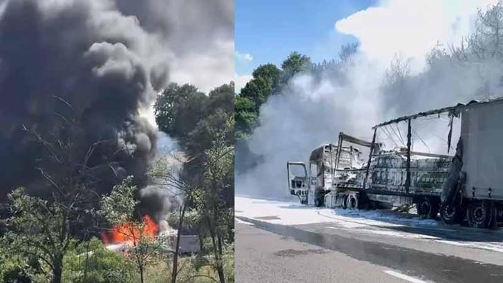 TIR'daki yangın ormana sıçradı; 10 dönüm alan zarar gördü