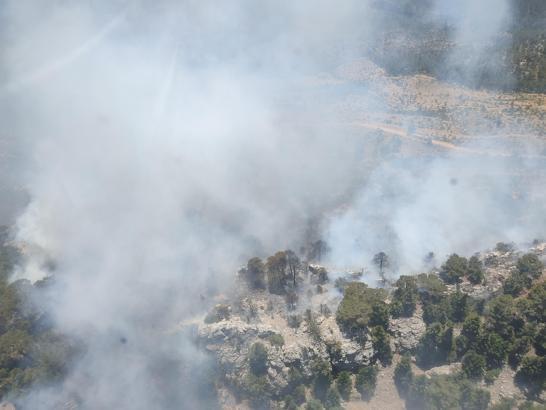 Mersin'de orman yangını