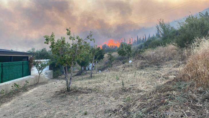 İzmir'deki orman yangını 2'nci gününde (5)