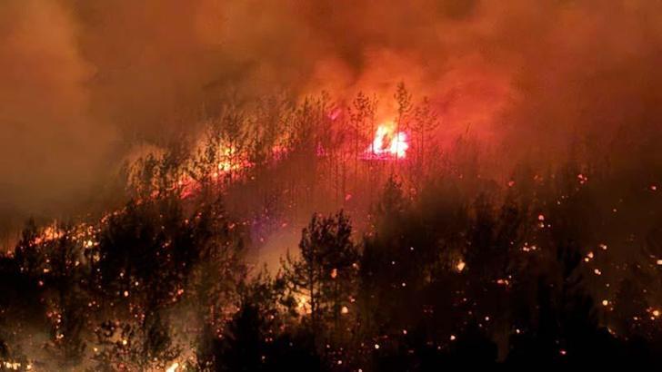 Adana'da çıkan orman yangını kontrol altında