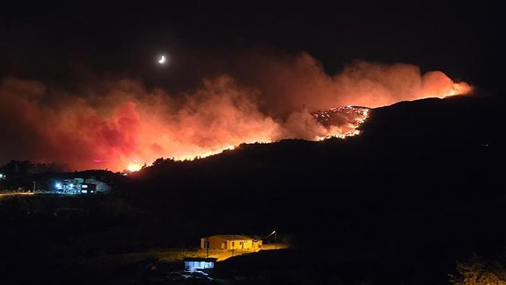 Hatay'da orman yangını