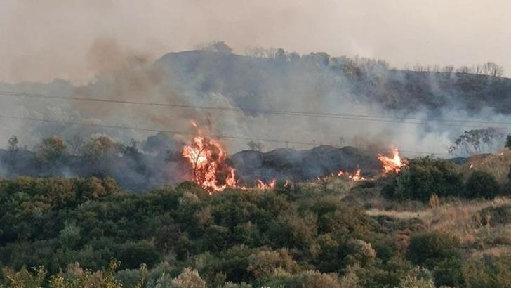 Manisa'da çöplük yangını ormana sıçradı