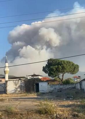 Manisa'da çöplük yangını ormana sıçradı