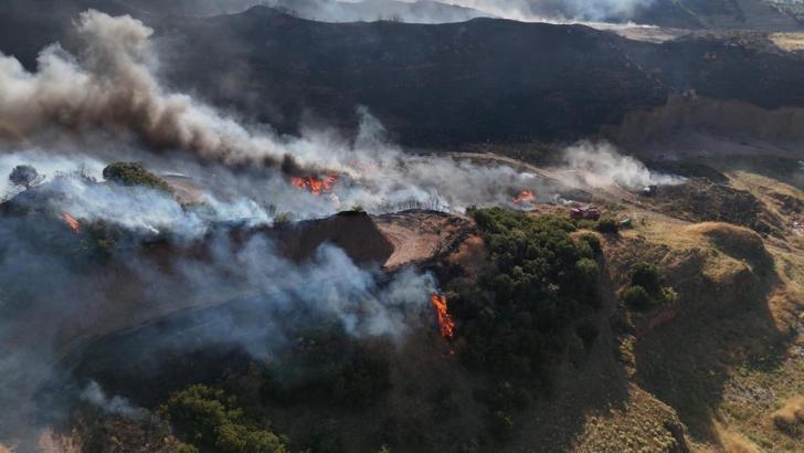 Manisa'da çöplük yangını ormana sıçradı (2)