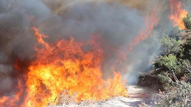 Manisa'nın 4 ilçesinde yangın; 3 ilçede yangın kontrol altında