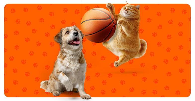 A Milli Kadın Basketbol Takımı’nın attığı her sayı 5 kilo mamaya dönüşüyor