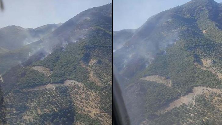 Aydın'daki orman yangını 2'nci gününde