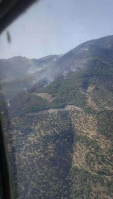 Aydın'daki orman yangını 2'nci gününde