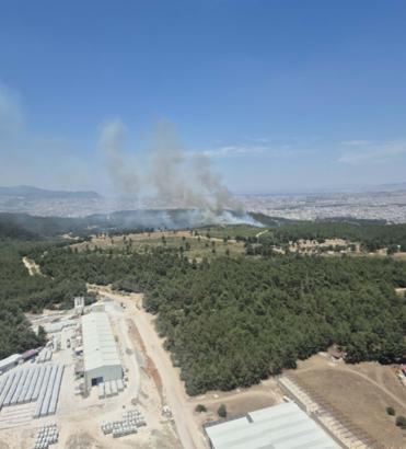 İzmir Buca'da orman yangını