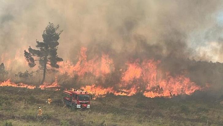 Bilecik’te çıkan orman yangını kontrol altında
