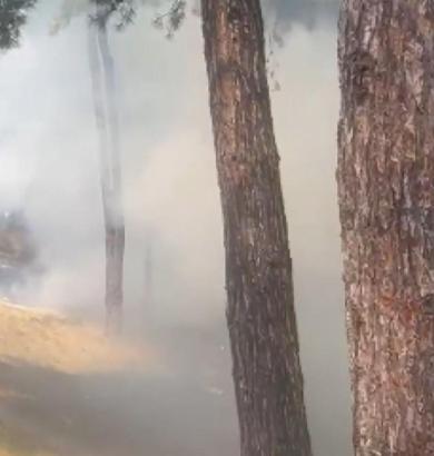 İstanbul- Bakırköy'de hastane bahçesinde çıkan yangın söndürüldü