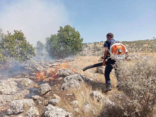 Mardin'de örtü yangını, 2 saatte söndürüldü