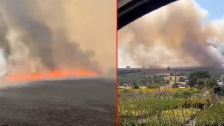 Bursa’da buğday tarlasında çıkan yangın kontrol altında