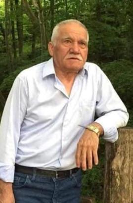 Giresun’da arı sokan çiftçi öldü