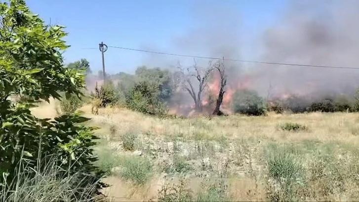 Elazığ’da örtü yangını