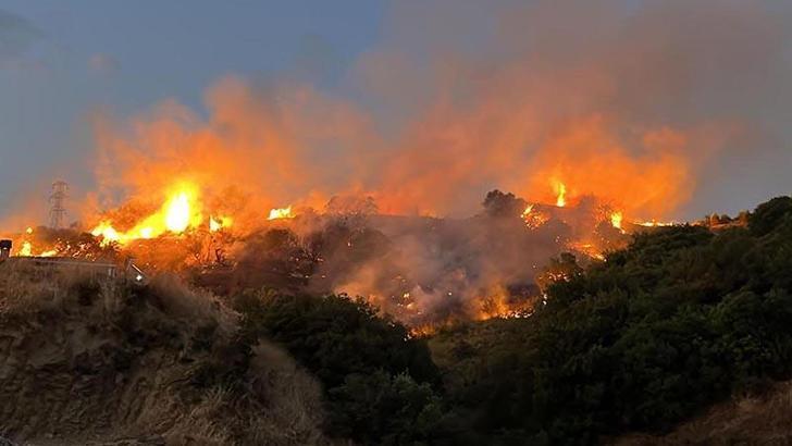 Üzerinde kene bulunan yastığı yakıp, bahçeye atınca yangın çıkmış