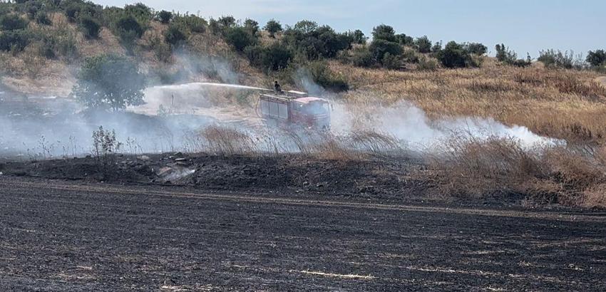 Bursa’da buğday tarlasında çıkan yangın, ağaçlık alana sıçradı (2)