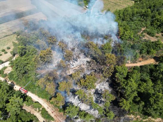Antalya'da orman yangını kontrol altına alındı / Ek fotoğraflar