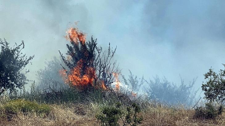 Manisa Turgutlu'da çıkan orman yangını, 2,5 saatte kontrol altına alındı
