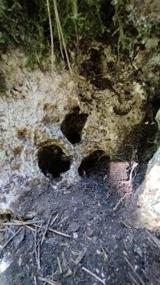 Jandarmadan kaçak kazıya suçüstü