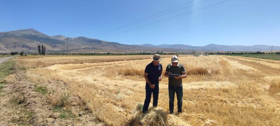 Niğde’de hasat sezonu, denetimle başladı