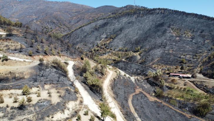 Hatay'da yanan alanlar havadan görüntülendi