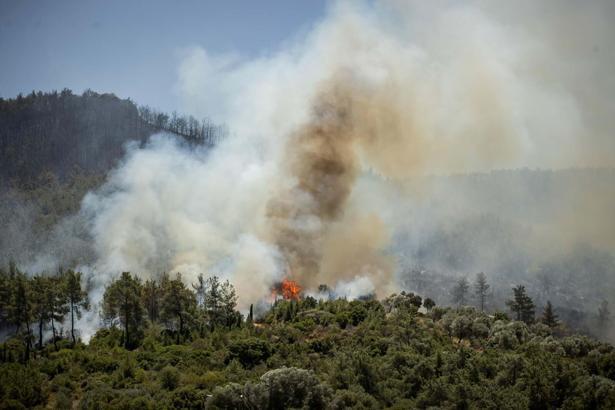 Seferihisar ve Menderes yangınlarının bilançosu ağır
