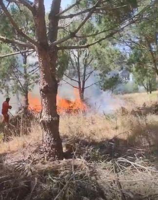 Bursa'da ağaçlık alanda yangın