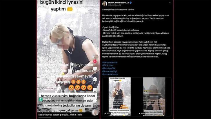 Sokak kedilerine iğne yapıp sosyal medyadan paylaşan kadına hayvanseverlerden tepki