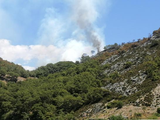 Antalya'da orman yangını
