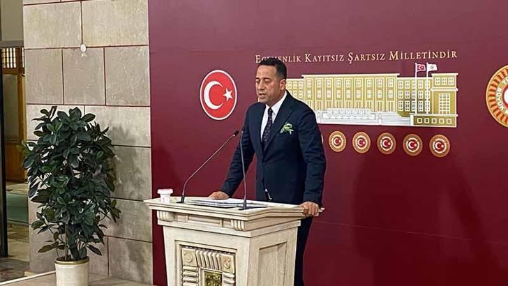 CHP'li Başarır: Zeytin ağaçlarının yerini değiştirmeyin
