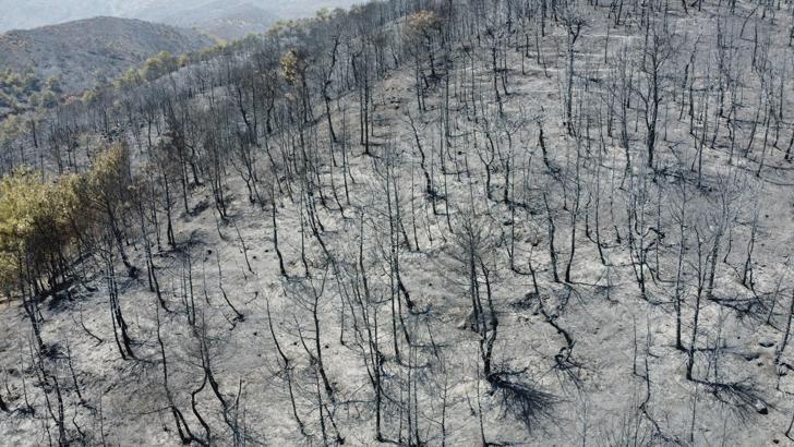 Hatay'da yanan alanlar havadan görüntülendi (3)