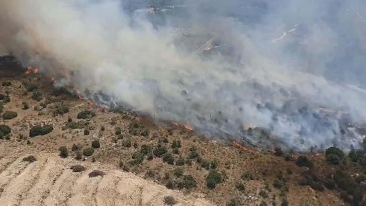 Aydın'da tarım arazisi ile maki yangını kontrol altına alındı
