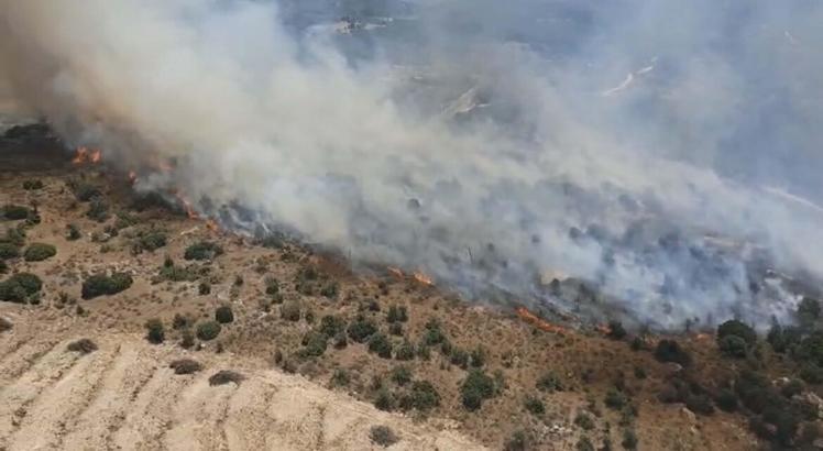 Aydın'da tarım arazisi ile maki yangını
