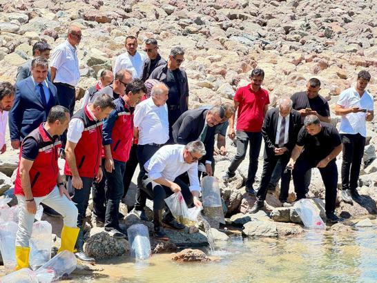 Karacaören Göleti'ne sazan yavruları bırakıldı