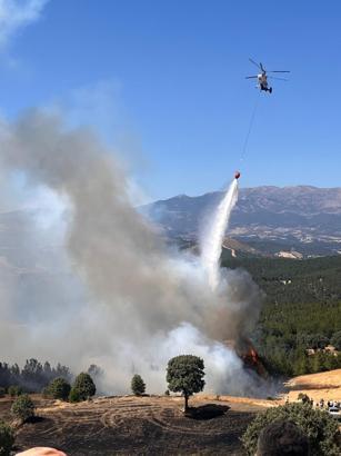 Kütahya'da orman yangını