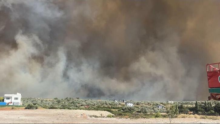 İzmir Çeşme'de orman yangını (3)