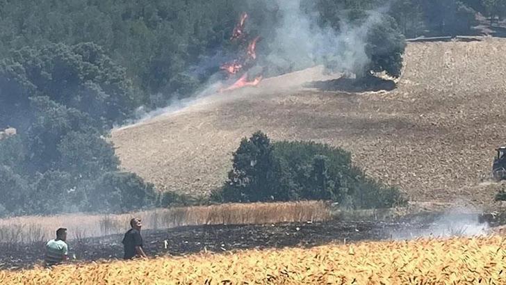 Kütahya'da tarım arazisinde çıkan yangın ormana sıçradı