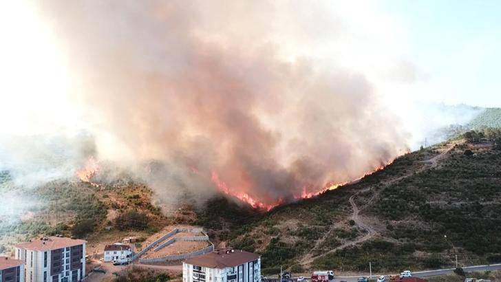 Kocaeli'de orman yangını (4)