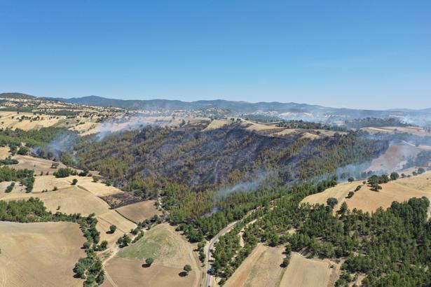 Kütahya’da orman yangını (2)