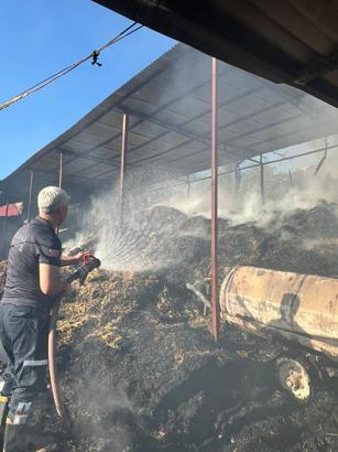 Adana'da ahır yangınında 5 inek öldü